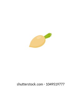 Healthy turnip, flat icon. Colorful flat design concepts for web banners, web sites, printed materials, infographics. Vector illustration, vegetable isolated on white background