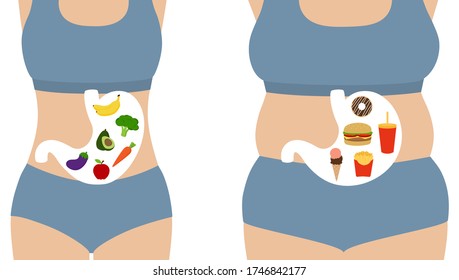 Healthy and unhealthy lifestyle. Comparison of slim woman with fruits and vegetables, fat woman with fast food. Diet choice, weight loss and nutrition concept. Flat vector illustration. Copy space.