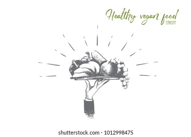 Healthy vegan food concept. Hand drawn plate with tasty and healthy meal. Fruits, vegetables and nuts isolated vector illustration.