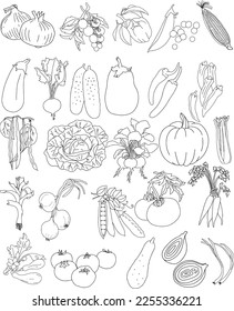 Healthy Vegan Vegetables with Transparent Background and EPS Format