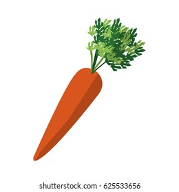 healthy vegetable icon