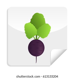 Healthy vegetables, beetroot sticker with vitamins and minerals. Quality vector illustration about diet, eco food, benefits of vegan and nutrition concept.