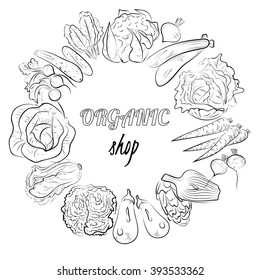 Healthy vegetables circle. Hand-drawn vector.