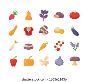 Icono de concepto de vegetales sanos sobre fondo blanco, estilo de detalle plano, ilustración vectorial