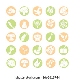 healthy vegetables concept icon set over white background, block style, vector illustration