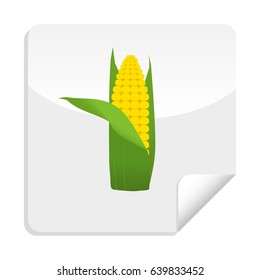 Healthy vegetables,  corn sticker with vitamins and minerals. Quality vector illustration about diet, eco food, benefits of vegan and nutrition concept.