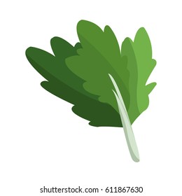 Healthy vegetables design