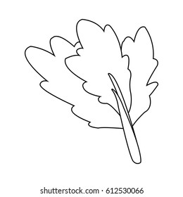 healthy vegetables design