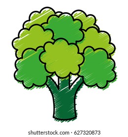 healthy vegetables design