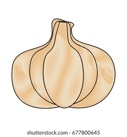 healthy vegetables design 