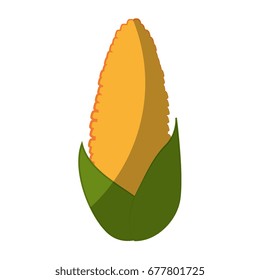 healthy vegetables design 