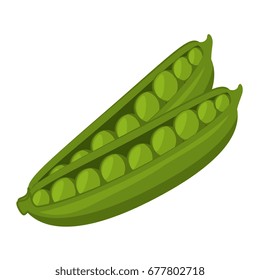 healthy vegetables design 