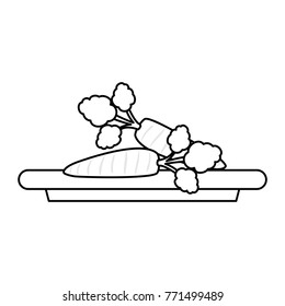 healthy vegetables design
