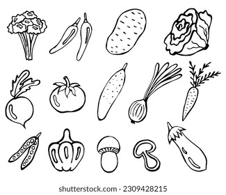 Healthy vegetables doodle set. Vector image on a white background, elements. Broccoli, peppers, potatoes, cabbage, beets, tomatoes, cucumbers, onions, carrots, peas, bell peppers, mushrooms, eggplant.