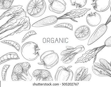 Healthy Vegetables Frame. Linear graphic. Vector illustration
