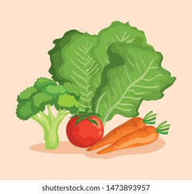 healthy vegetables fresh organic nutrition