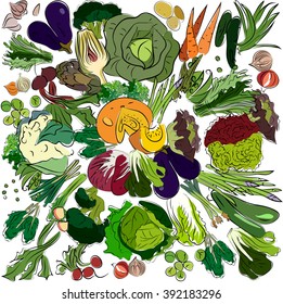 Healthy vegetables illustration. Hand-drawn vector.