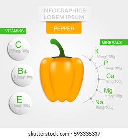 Healthy vegetables infographics with pepper, vitamins and minerals. Quality vector illustration about diet, eco food, benefits of vegan and nutrition concept. 