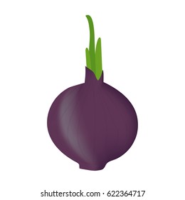 Healthy vegetables with onion, vitamins and minerals. Quality vector illustration about diet, eco food, benefits of vegan and nutrition concept.