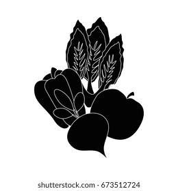 Healthy vegetables symbol