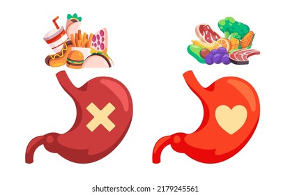 Healthy Vs Unhealthy Food Restricted Diet Choice Good For Stomach Digestive Organ 