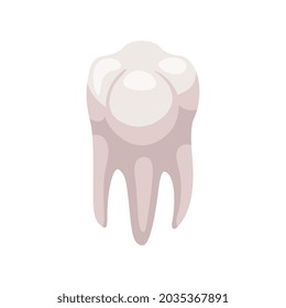 Healthy white human tooth isometric icon vector illustration