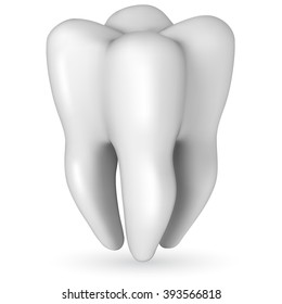 Healthy white molar tooth realistic vector illustration isolated on white background. Scale-free resizable tooth template.