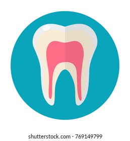 Healthy white teeth. Icon flat style. Dentistry, dentist concept. Isolated on white background. Vector illustration