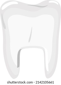Healthy white tooth, illustration, vector on a white background.