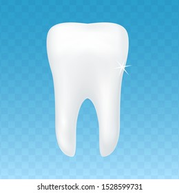 Healthy white tooth isolated on blue transparent background. Premium quality vector illustration.