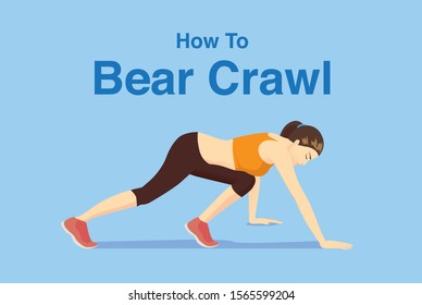 Healthy Woman Doing Bear Crawl Exercise. Illustration About Workout Position Guideline.