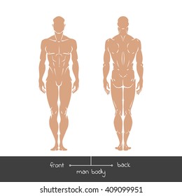 Healthy young man from front and back view in outline style. Male muscular body shapes vector linear illustration with the inscription: front and back. Vector outline  illustration of a human figure
