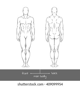 アウトラインの正面と背面から見た健康な若い男性 男性の筋肉の体型は 銘文とベクター線形イラスト 前後に人間の姿のベクター画像の輪郭イラスト のベクター画像素材 ロイヤリティフリー Shutterstock