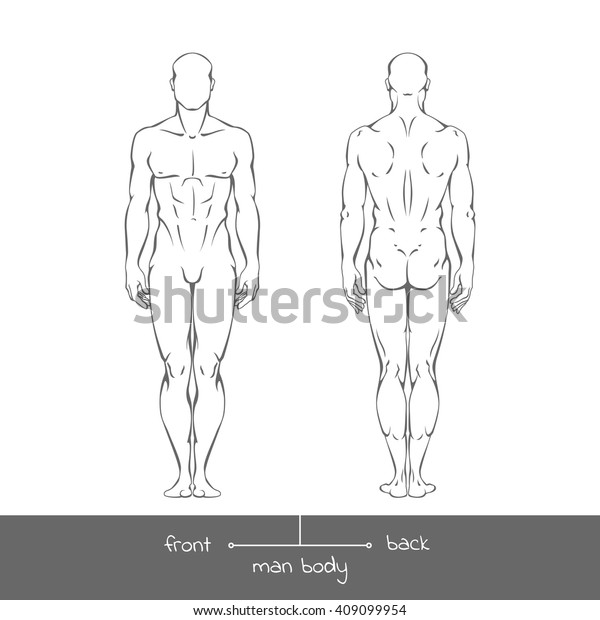 アウトラインの正面と背面から見た健康な若い男性 男性の筋肉の体型は 銘文とベクター線形イラスト 前後に人間の姿のベクター画像の輪郭イラスト のベクター画像素材 ロイヤリティフリー