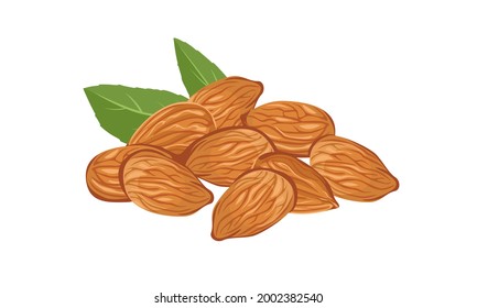 Heap of almonds isolated on white background. Vector illustration of nuts in cartoon flat style. Organic healthy food.