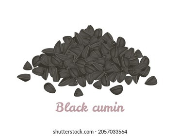 Heap of black cumin seeds isolated. Vector cartoon flat illustration. Healthy organic food.