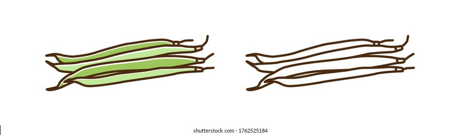 Heap of black eyed peas vector illustration in line art style. Set of colorful and monochrome pod with pea isolated on white background. Organic healthy ingredient with design elements