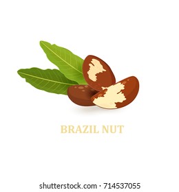 heap of brazil nuts with leaves for your design 