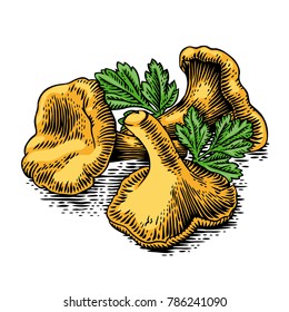 Heap of chanterelles with fresh green parsley