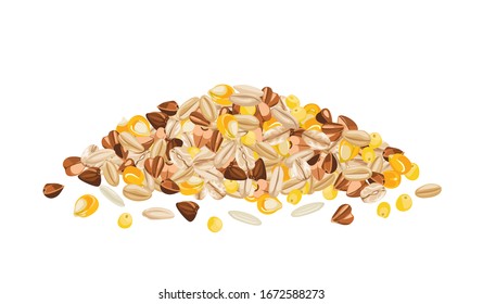 Heap of different cereal grains isolated on a white background. Wheat, buckwheat, oats, corn, rice and millet. Vector illustration of organic healthy food in cartoon flat style.