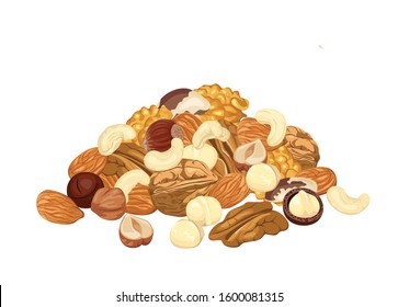 Heap of different nuts isolated on white background. Pile of Almond, walnut, pecan, macadamia, cashew, brazil nut and hazelnut. Vector illustration of organic healthy food in cartoon flat style.