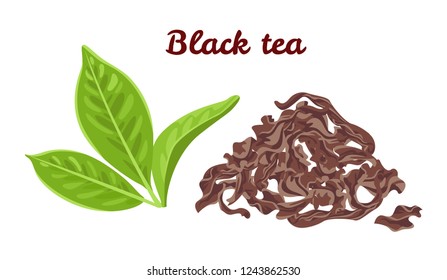 Heap of dried tea leaves isolated on white background. Vector illustration of black tea and green tea leaves in cartoon flat style.