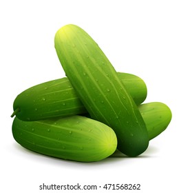 Heap of fresh cucumbers close up. Few raw cukes isolated on white background. Vector illustration