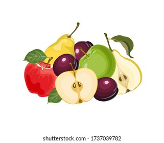 Heap of fresh fruits. Vector whole and half apple, pear and plum isolated on white background. Food illustration in cartoon flat style.