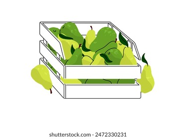 Montón de peras verdes en caja. Fruta fresca en cesta en el mercado de agricultores locales. Comida de granja, productos de jardín, cosecha en caja de madera para la venta. Ilustración vectorial aislada plana sobre fondo blanco