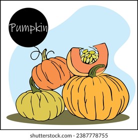 Heap of many harvest orange pumpkins isolated. fresh whole and sliced pumpkin. Elements for autumn decoration, Halloween invitations, harvest.