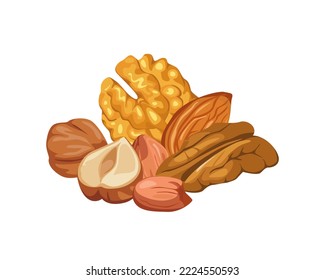 Montón de nueces aisladas en un fondo blanco. Nuez pelada, pecan, almendras y cacahuete. Dibujo vectorial de comida saludable.