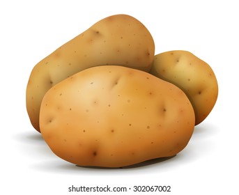 Heap of potato tubers close up. Root vegetable isolated on white background. Vector illustration