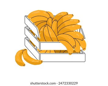 Heap of ripe branches of bananas in crate. Tropical fruit in wooden box for selling in market, grocery store. Natural organic product in basket. Flat isolated vector illustration on white background