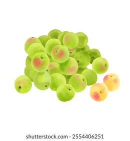 A heap of riped plums and green plum watercolor illustration. white background